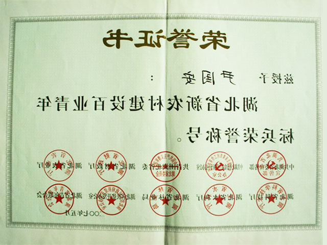 湖北新农村建设标兵2007年